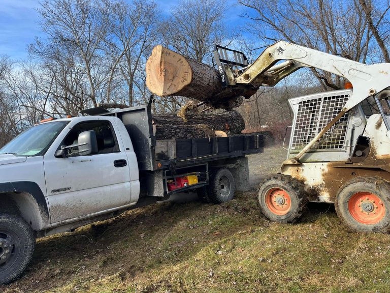 tree company 768x576