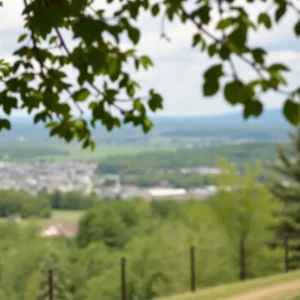 A scenic representation of community health services in Kentucky.
