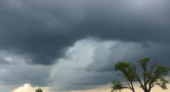 Lexington Escapes Severe Storms Thanks to Wind Shear
