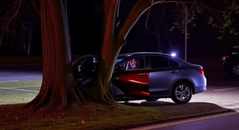 Lexington Driver in Critical Condition After Tree Crash