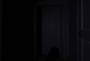 Closet with trash bag reflecting a serious incident