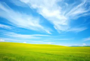 Cover of the book 'Beyond Business Success: After the Exit, What’s Next?' by Allan Crockett.