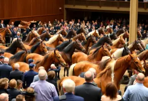 Bidding scene at the Lexington Selected Yearling Sale with yearlings on display.