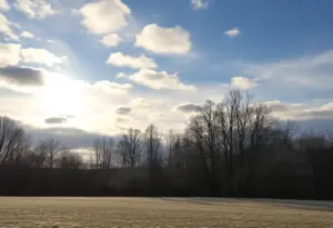 Scenic winter landscape in Lexington Kentucky with trees and snow